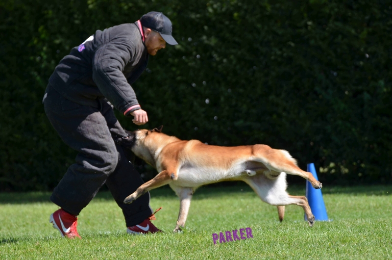 2025 ring Parker face.jpg